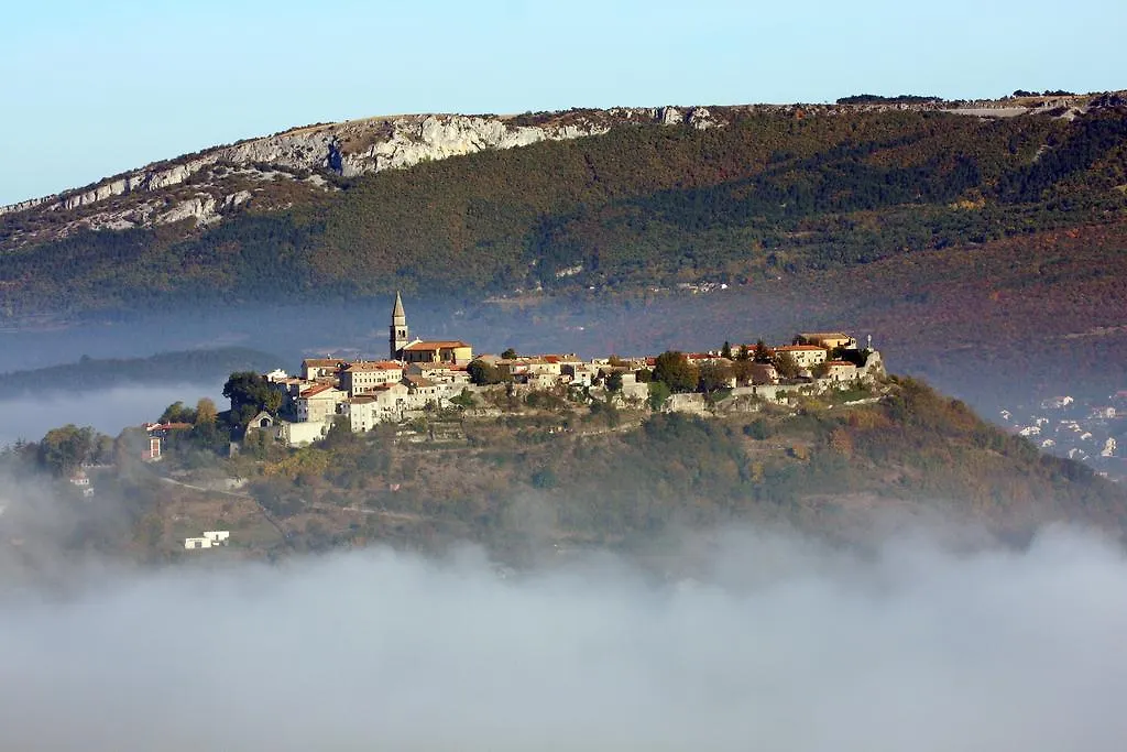 Apartment Field Buzet