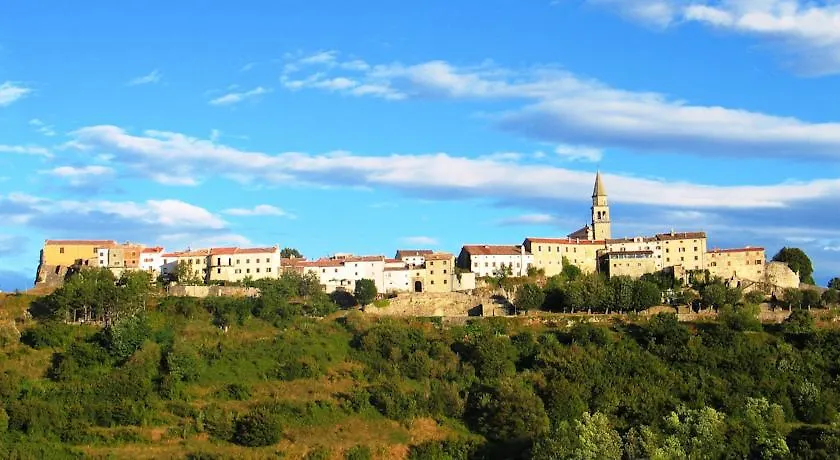 Apartment Field Buzet 0*,