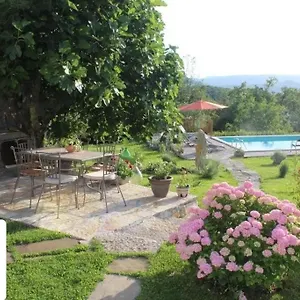 Mavrici, Neighbors Free Buzet